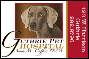 Guthrie-Pet-Hospital-300x200