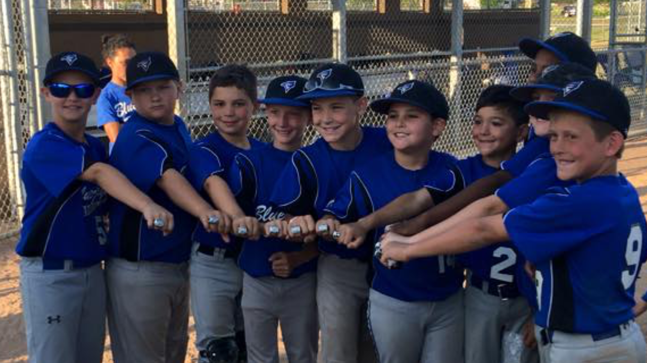 Little League Blue Jays