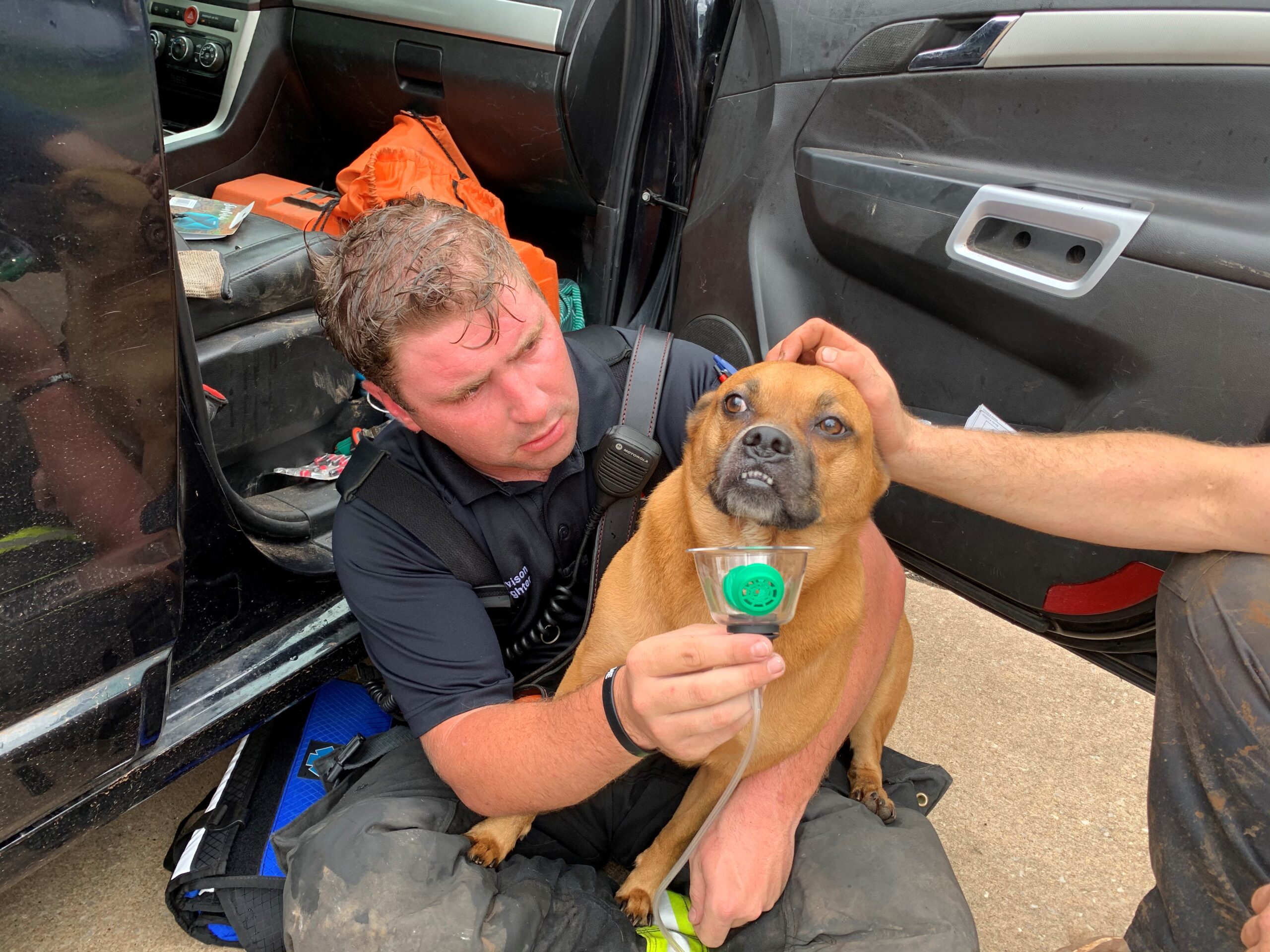 Video Firefighters rescue dog from house fire Guthrie News Page